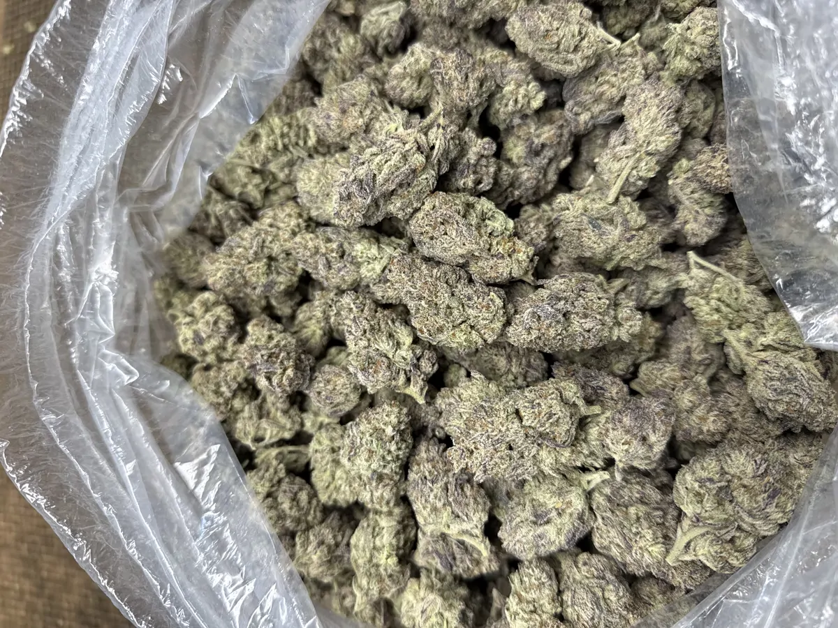 Gelato 45 Packaged Flower